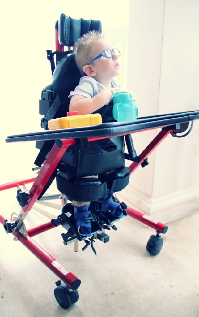 Knox in stander 2 2012
